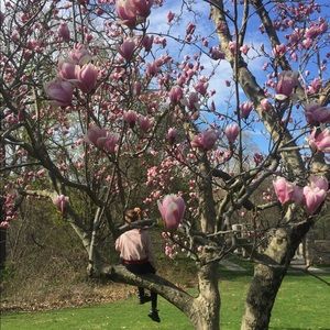 Meet your Posher, Mimi